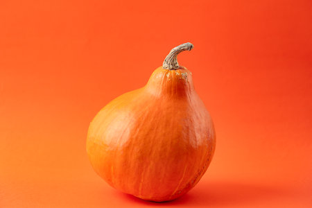 the texture of orange pumpkin on the orange backgroundの写真素材