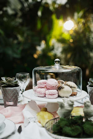beautiful and cozy bright easter table decorationの写真素材