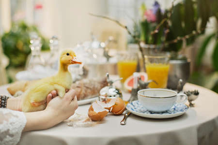 beautiful and cozy bright easter table decorationの写真素材