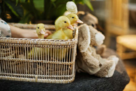 beautiful and cozy bright easter table decoration