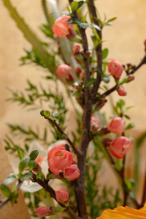 original modern floral composition with beautiful flowersの写真素材