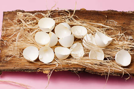 unusual easter eggs view with flowers flora on the wood in the nest on the pink backgroundの写真素材