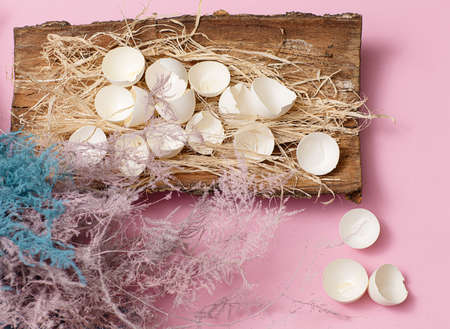 unusual easter eggs view with flowers flora on the wood in the nest on the pink backgroundの写真素材