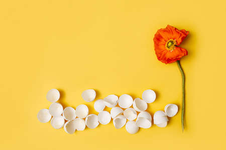 easter egg on the yellow background with the place for the text for greetingの写真素材