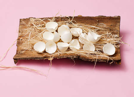 unusual easter eggs view with flowers flora on the wood in the nest on the pink backgroundの写真素材