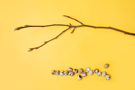 easter egg on the yellow background with natural branch of the tree with the place for the text for greetingの写真素材