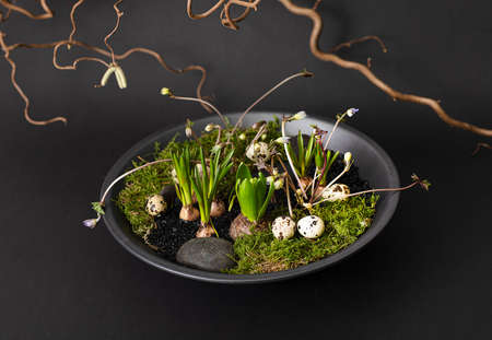 Beautiful easter table decoration with real growing flowers and easter eggs