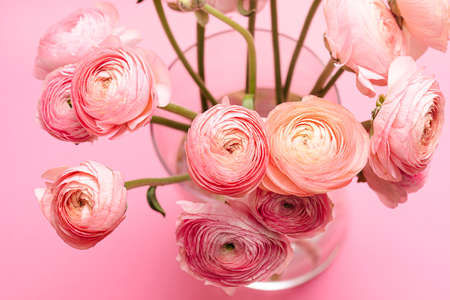 greeting card with pink flowers on pink background with place for the textの写真素材