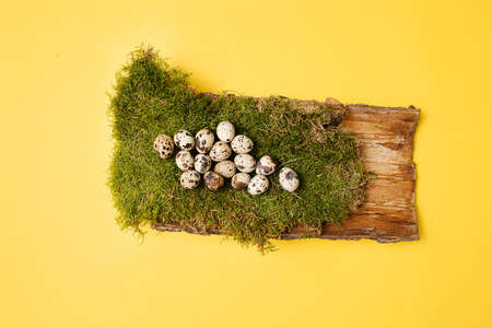 easter egg on the yellow background with the place for the text for greetingの写真素材