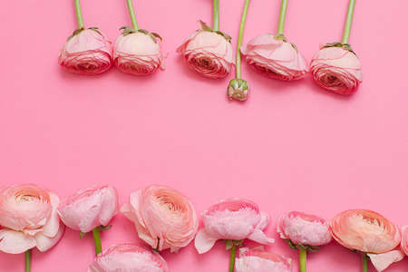greeting card with pink flowers on pink background with place for the textの写真素材