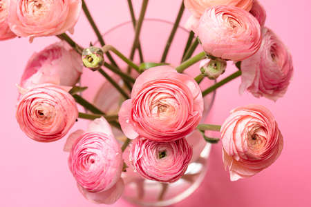 greeting card with pink flowers on pink background with place for the textの写真素材