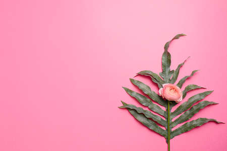 greeting card with pink flowers on pink background with place for the text