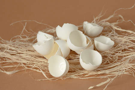 An empty broked eggs in the nest on light brown background. Image for illustration