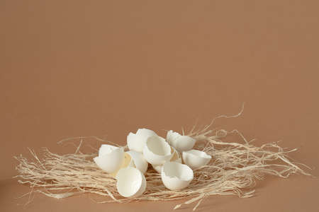 An empty broked eggs in the nest on light brown background. Image for illustrationの写真素材