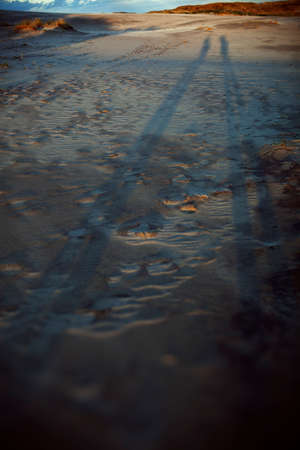 Tire tracks in the sand at sunset. Close-up.