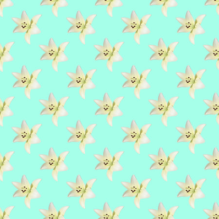 Beautiful seamless pattern of white lily on blue background. Flowers abstract seamless pattern.の写真素材