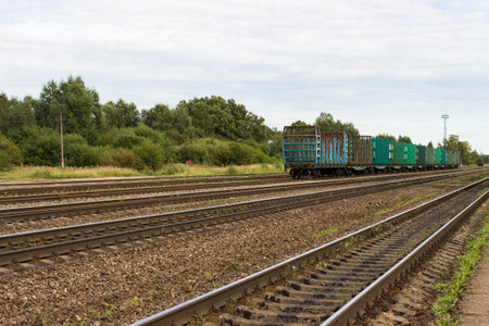 Railroad with several wagons for transporting timber awaiting loading.
