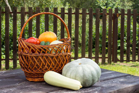 Autumn harvest vegetables in a basket on a wooden table. Kitchen garden in countryside. DIY...
