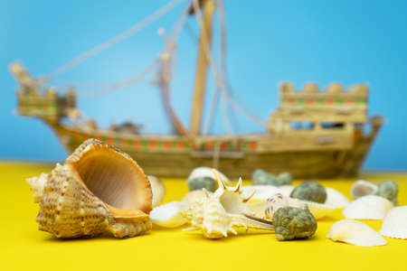 Summer holidays composition with seashells and blurred shape of a ship on blue and yellow...