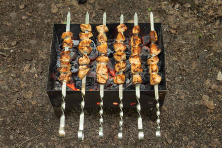 Pieces of dietary turkey meat on skewers is cooked on the grill.の写真素材