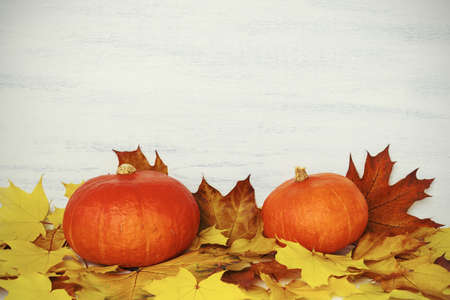 Autumn leaves fallen and pumpkins on white wooden background.