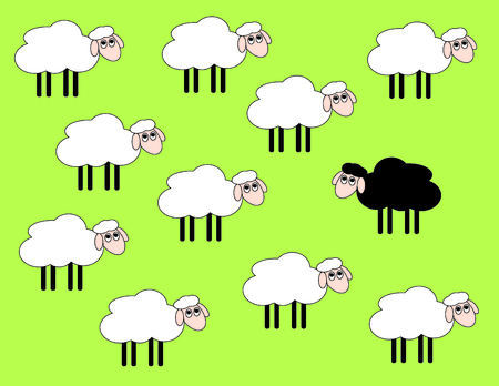 Black and white sheepのイラスト素材