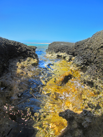 Sea Rocks in yellowの写真素材