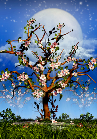 Cherry Trees Blosom and full moon nightの写真素材
