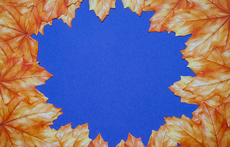 Orange autumn leaves arranged in a circular pattern on a blue background, creating a natural frame.の写真素材