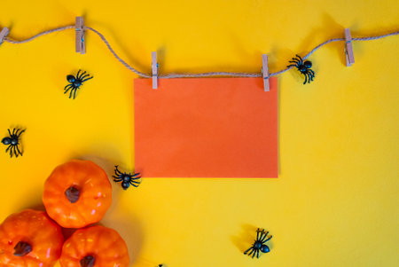 Blank orange card with Halloween pumpkins and black spiders. Seasonal autumn mockup for party invitations or holiday promotions.の写真素材