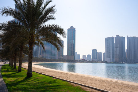 Scenic view of palm trees near calm water and skyline. Ideal for travel, tourism, city branding, or modern architecture visuals with tropical serenity.の写真素材