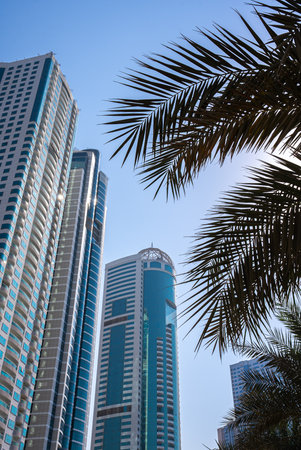 High-rise buildings and palm leaves in a bright modern cityscape under clear blue sky.の写真素材