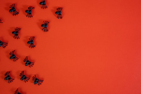 Minimalistic Halloween flat lay with black spiders scattered on deep red background. Perfect eerie backdrop for seasonal design.の写真素材
