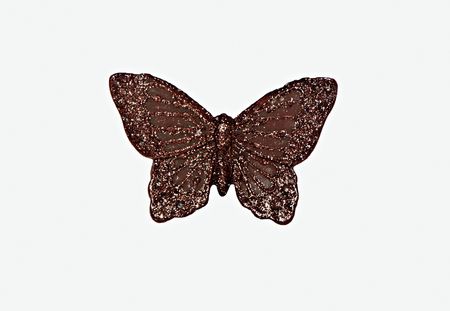 butterfly of wax on a white backgroundの写真素材