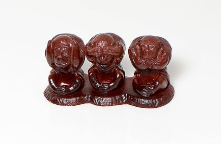 Three monkeys on a white backgroundの写真素材