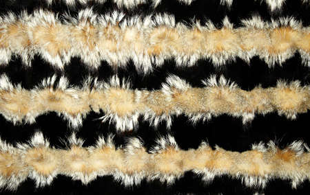 Closeup of beautiful fox and mink fur