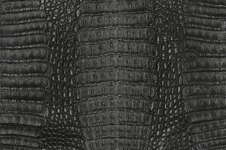 crocodile skin texture background