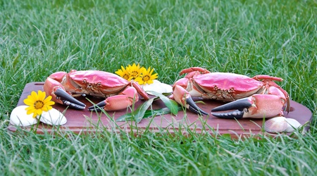 red boiled crabs on wooden plate backgroundの写真素材