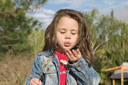 Little girl blowing dandelion blossom awayの写真素材