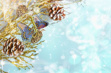 Christmas Backgroundの写真素材