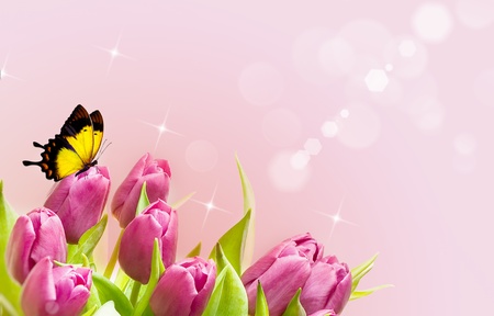 Tulip with butterfly の写真素材