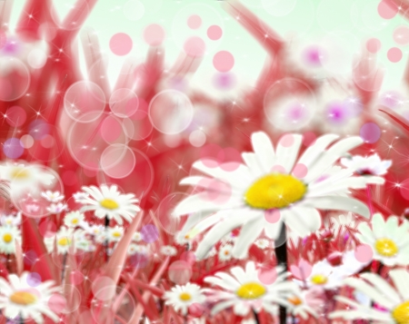 Abstract backgrounds with daisy flowersの写真素材