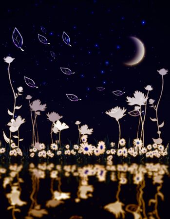 evening nature backgroundの写真素材