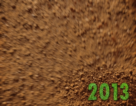 Green grass of 2013 year texture and background