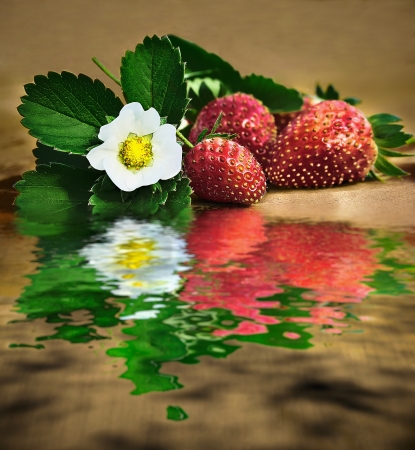 beautiful strawberry on dark background with reflection in waterの写真素材