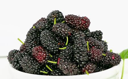 Ripe juicy blackberries isolated on white background