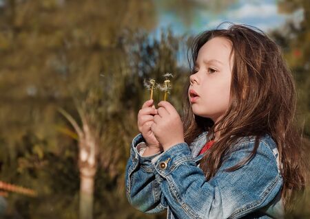 beautiful little girl blowing dandelionの写真素材