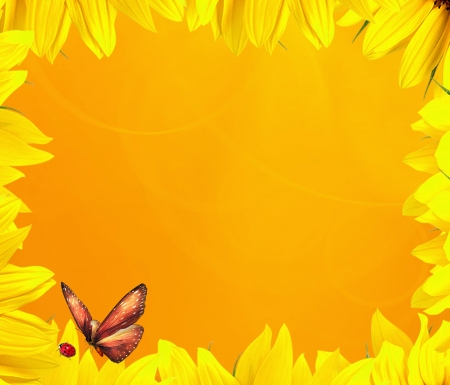 golden background sunflower petalsの写真素材