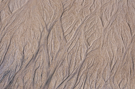Sand pattern at the beach during the ebbの写真素材