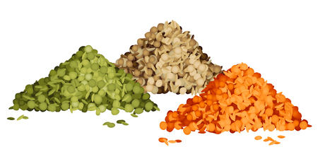 Various types of lentils piles set vector illustration side view. Green, brown and red lentilsのイラスト素材
